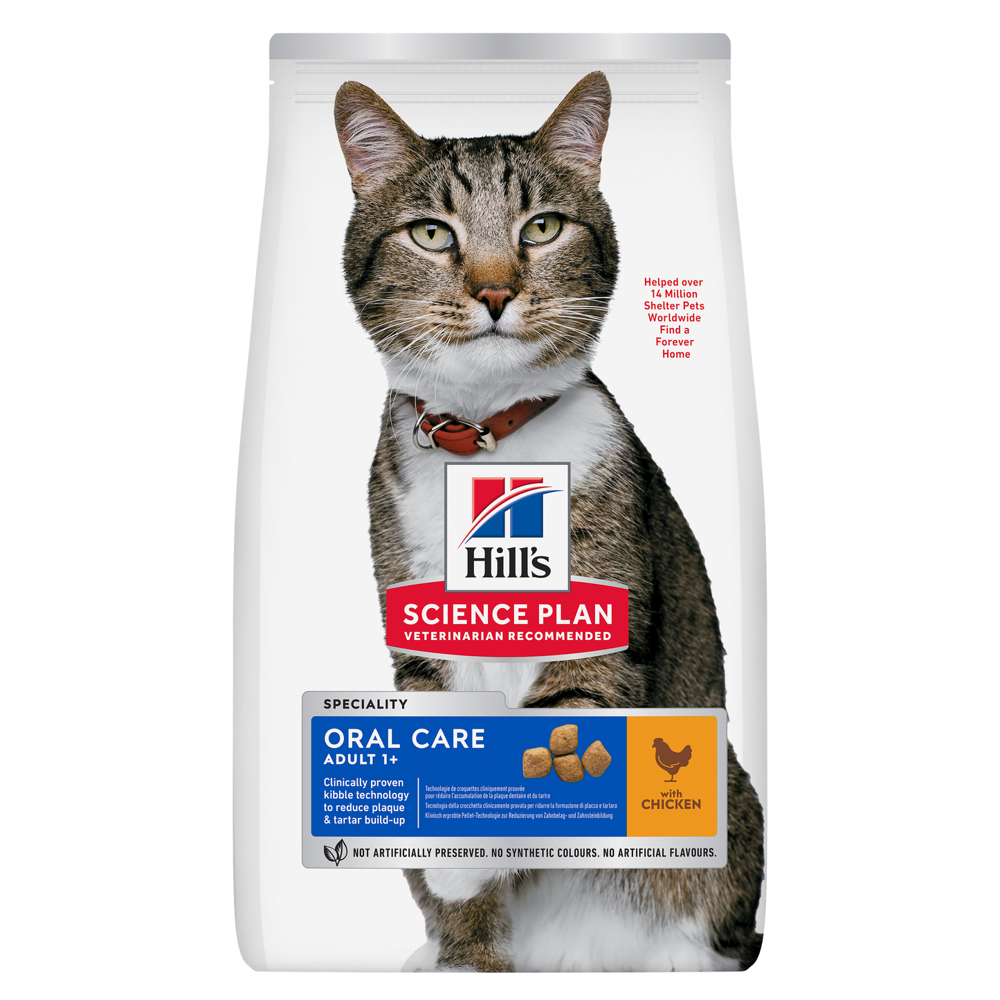Hills Oral Care Adult Cat Food