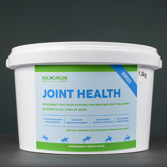 Max Joint Health