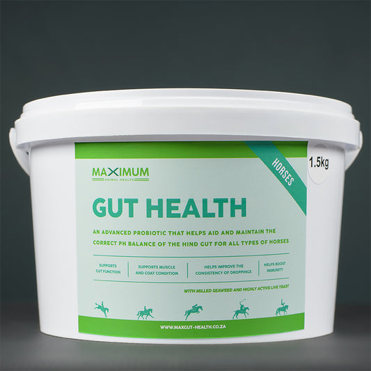 Max Gut Health