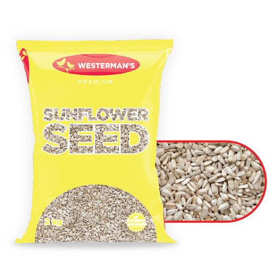 Westerman's White Sunflower