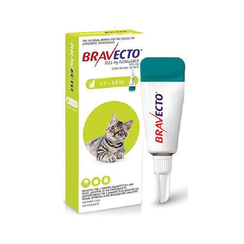 Bravecto Tick & Flea Spot on for Cats - PetX - Online