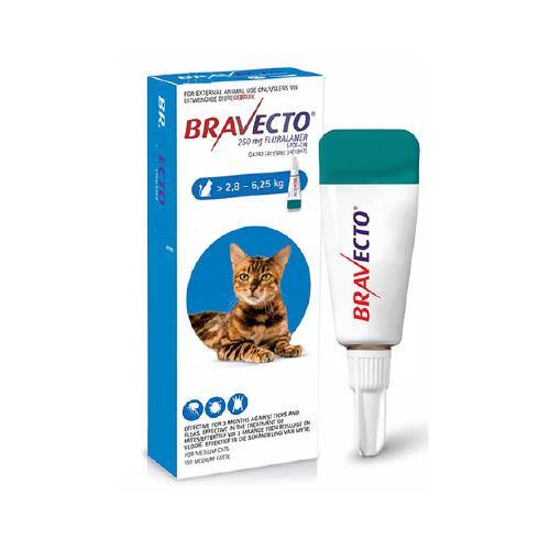 Bravecto Tick & Flea Spot on for Cats - PetX - Online