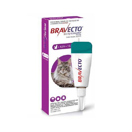 Bravecto Tick & Flea Spot on for Cats - PetX - Online