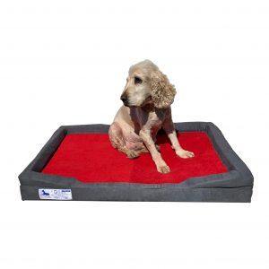 Dog-O-Pedic Throne Memory Foam Orthopedic Mattress - PetX - Online