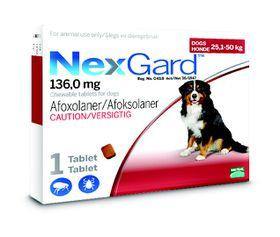 NexGard Chewable Tick & Flea Tablet for Dogs (Single Pack) - PetX - Online