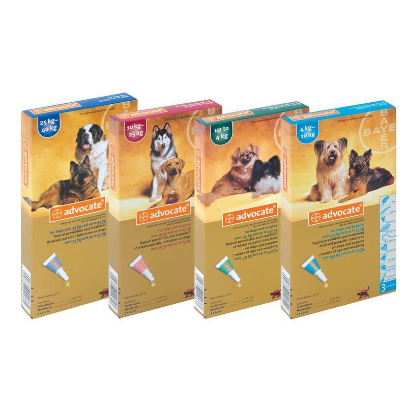 Advocate Mixed Parasite Spot On Treatment for Dogs ( 1 pipet ) - PetX - Online