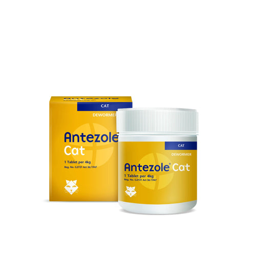 Antezole Deworming Tablets for Cats (20's) - PetX - Online