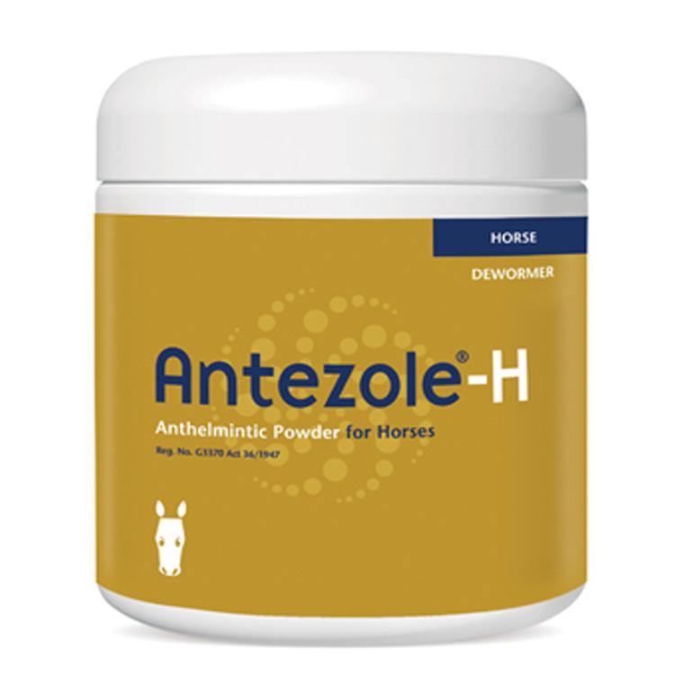 Antezole H Deworming powder for Horses - PetX - Online
