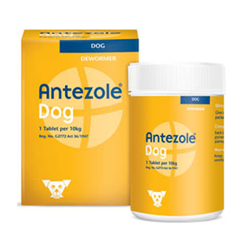Antezole Deworming Tablets for Dogs - PetX - Online