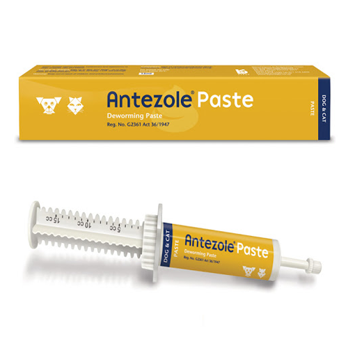 Antezole Deworming Paste for Dogs and Cats - PetX - Online