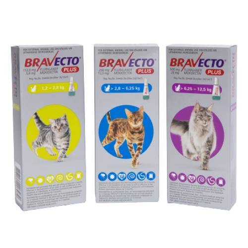 Bravecto Plus Tick & Flea Spot on for Cats - PetX - Online