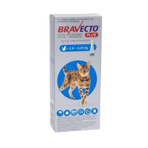 Bravecto Plus Tick & Flea Spot on for Cats - PetX - Online