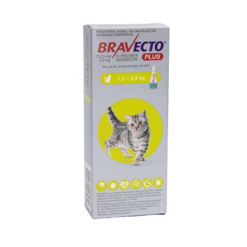 Bravecto Plus Tick & Flea Spot on for Cats - PetX - Online