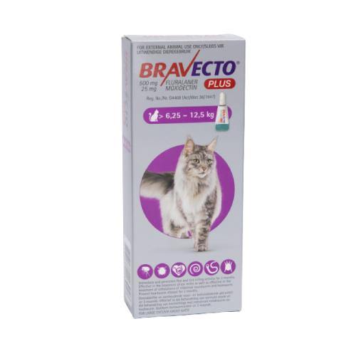 Bravecto Plus Tick & Flea Spot on for Cats - PetX - Online