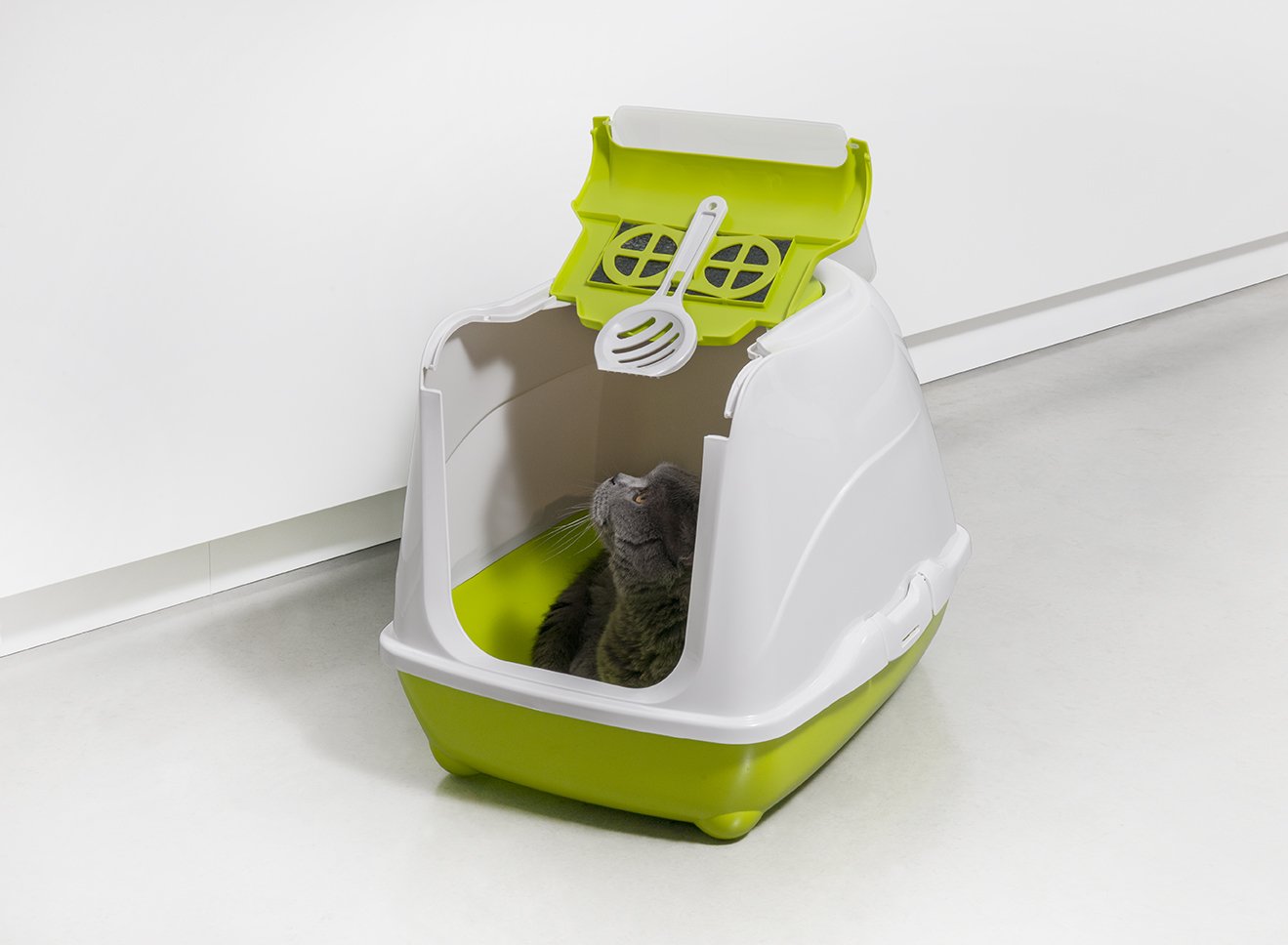 Flip Cat Toilet