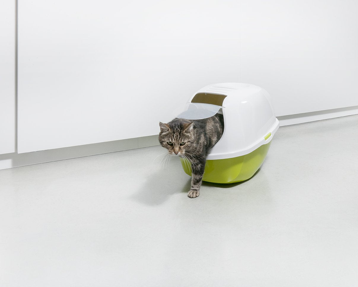 Smart Cat Toilet