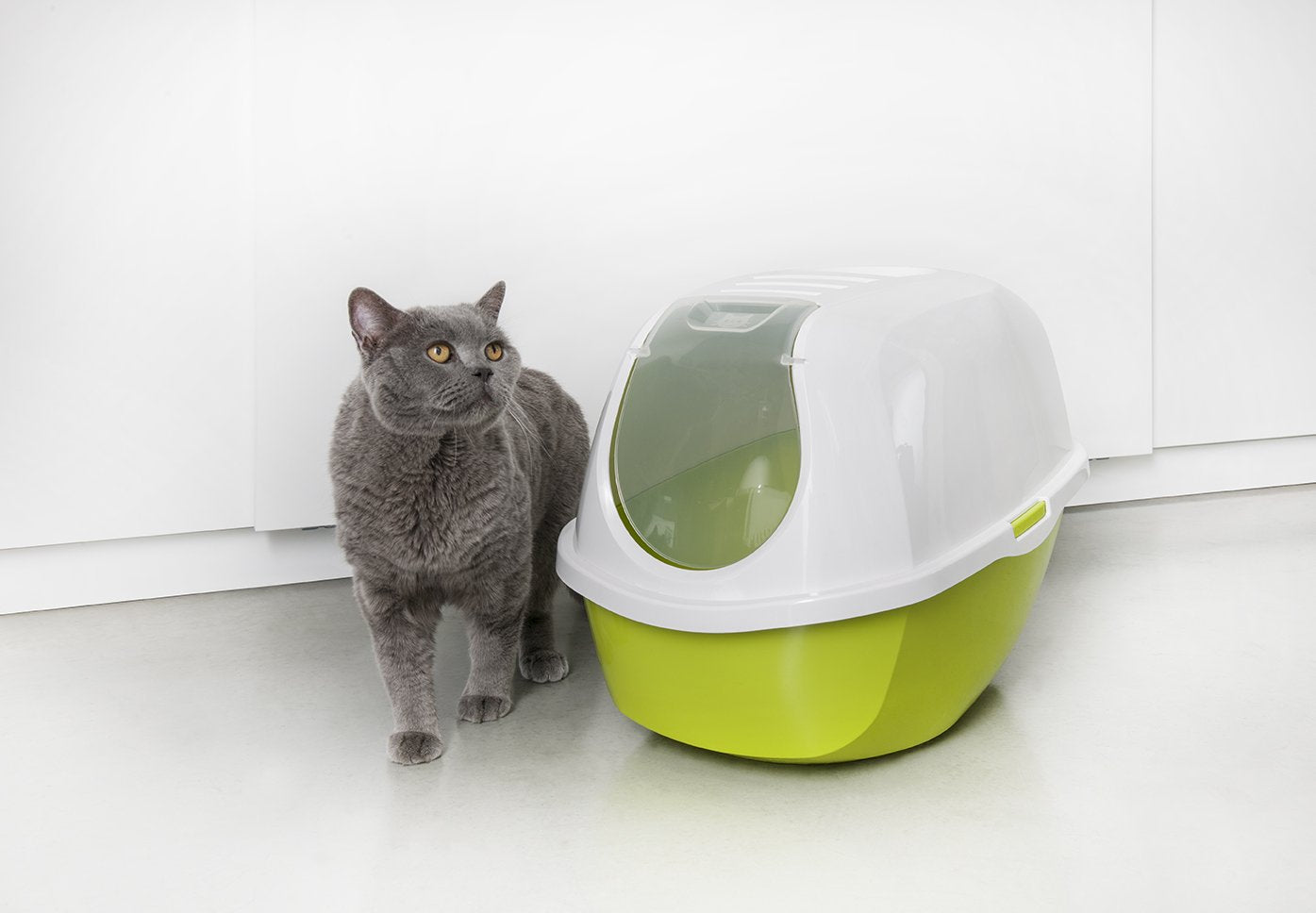 Smart Cat Toilet