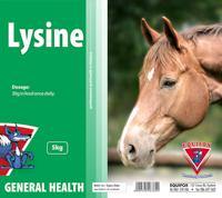 Equifox Lysine - PetX - Online