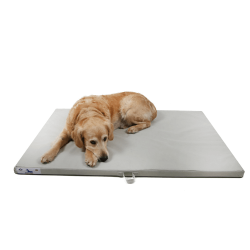 Dog-O-Pedic Snoozer Memory Foam Mattress - PetX - Online