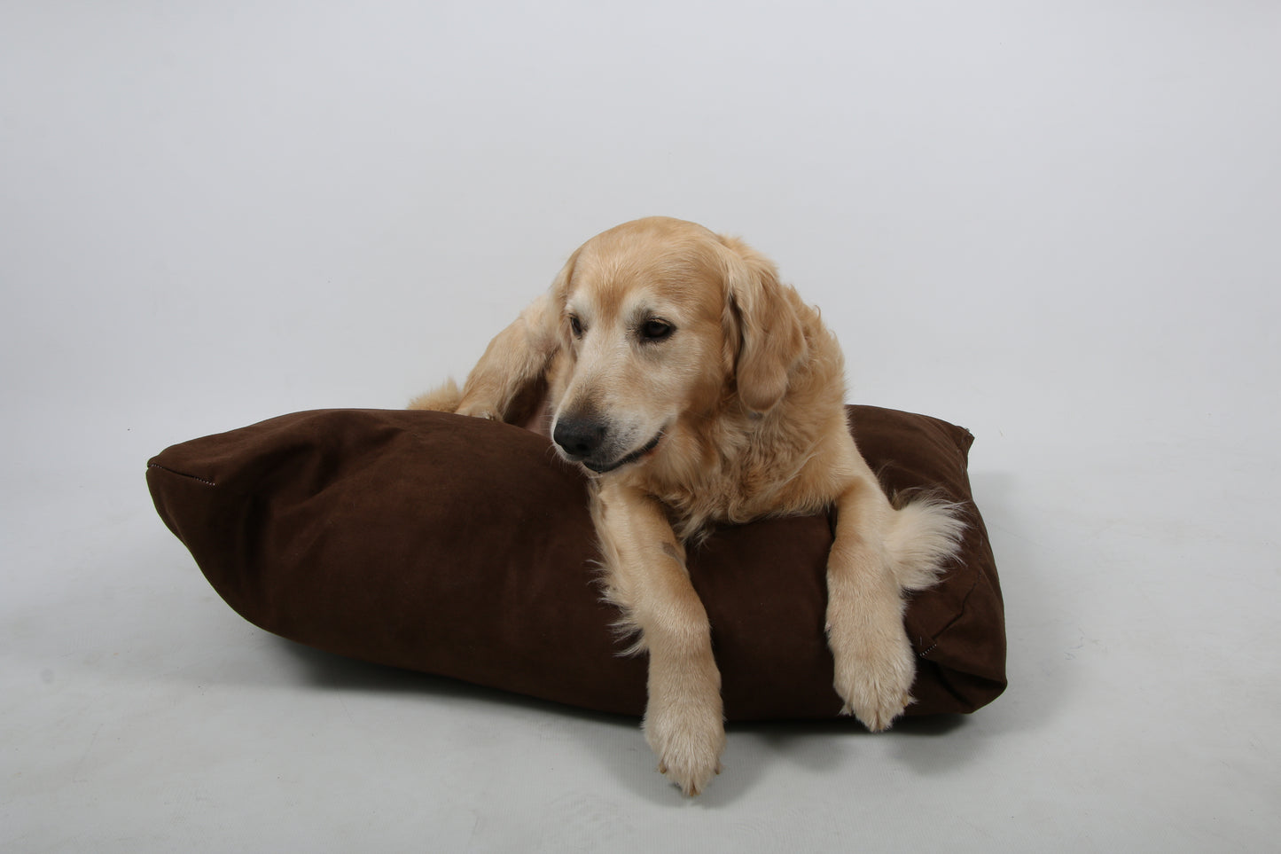 Dog-O-Pedic Ball Fibre Pillow