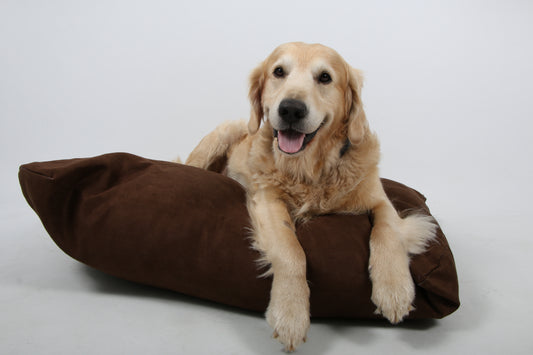 Dog-O-Pedic Ball Fibre Pillow
