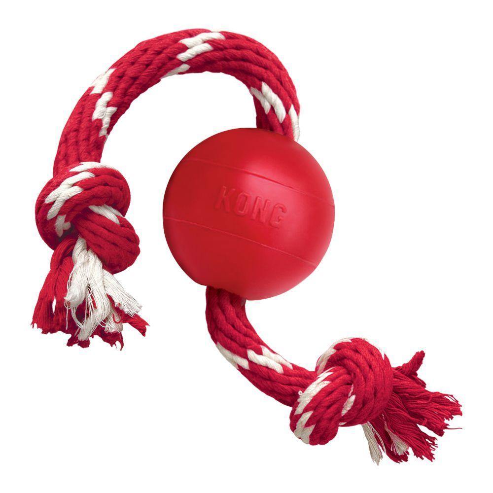 Kong Classic Ball with Rope Dog Toy - PetX - Online