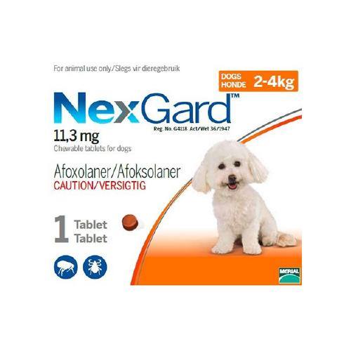NexGard Chewable Tick & Flea Tablet for Dogs (Single Pack) - PetX - Online