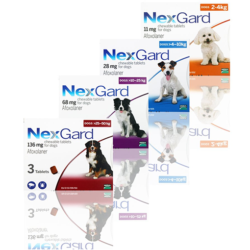 NexGard Chewable Tick & Flea Tablet for Dogs (3 Pack) – PetX - Online