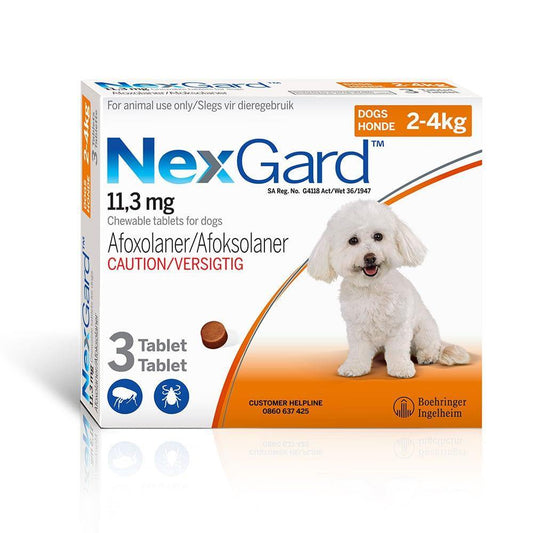NexGard Chewable Tick & Flea Tablet for Dogs (3 Pack) - PetX - Online