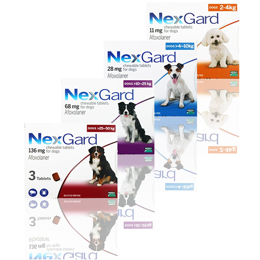 NexGard Chewable Tick & Flea Tablet for Dogs (3 Pack) - PetX - Online