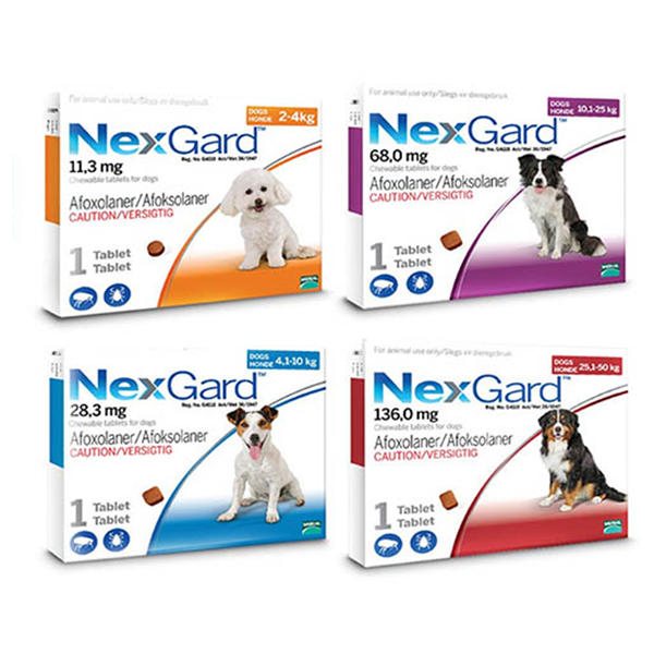 NexGard Chewable Tick & Flea Tablet for Dogs (Single Pack) - PetX - Online