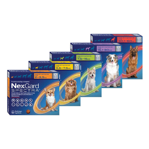 NexGard Spectra Chewable Mixed Parasite Tablets for Dogs (Singles) - PetX - Online