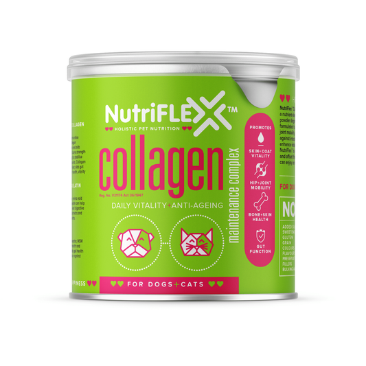 NutriFlex Collagen Maintenance Complex for Dogs & Cats - PetX - Online