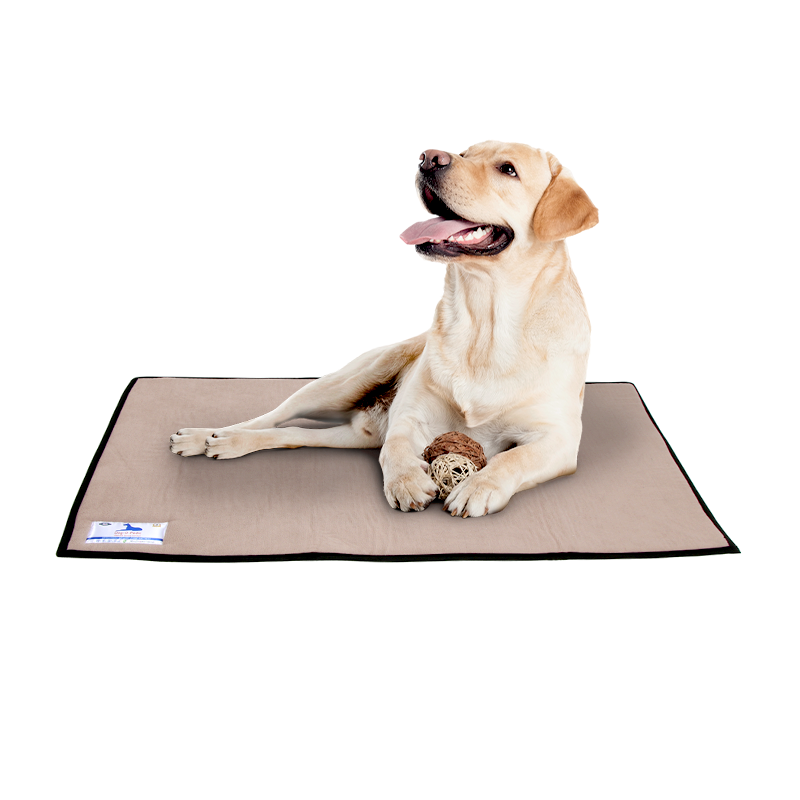 Dog-O-Pedic Day Mat Memory Foam