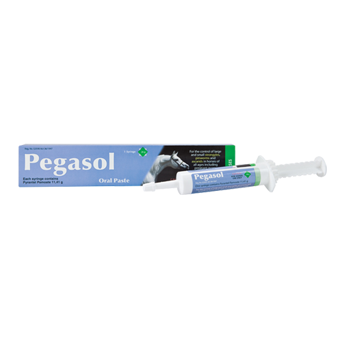Pegasol Horse Dewormer 26g - PetX - Online