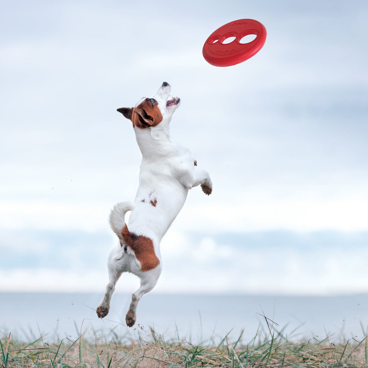 Rogz RFO Frisbee Dog Toy