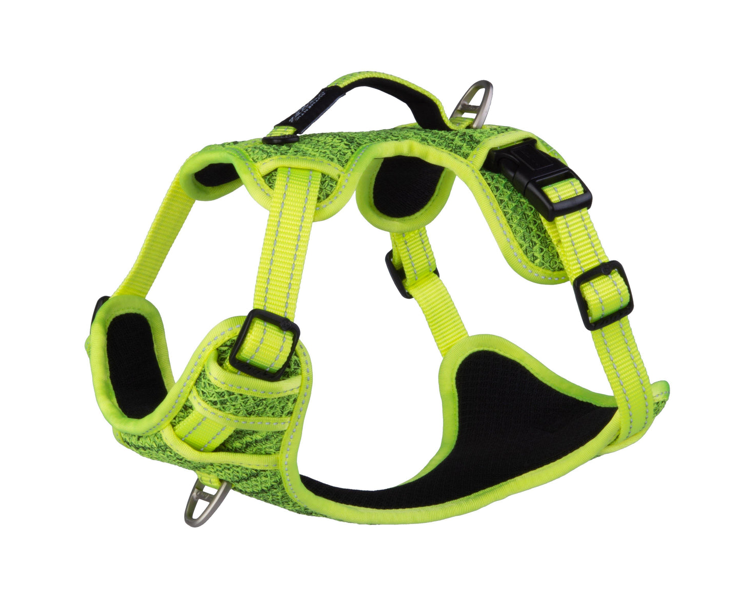 Rogz Explore Harness - PetX - Online