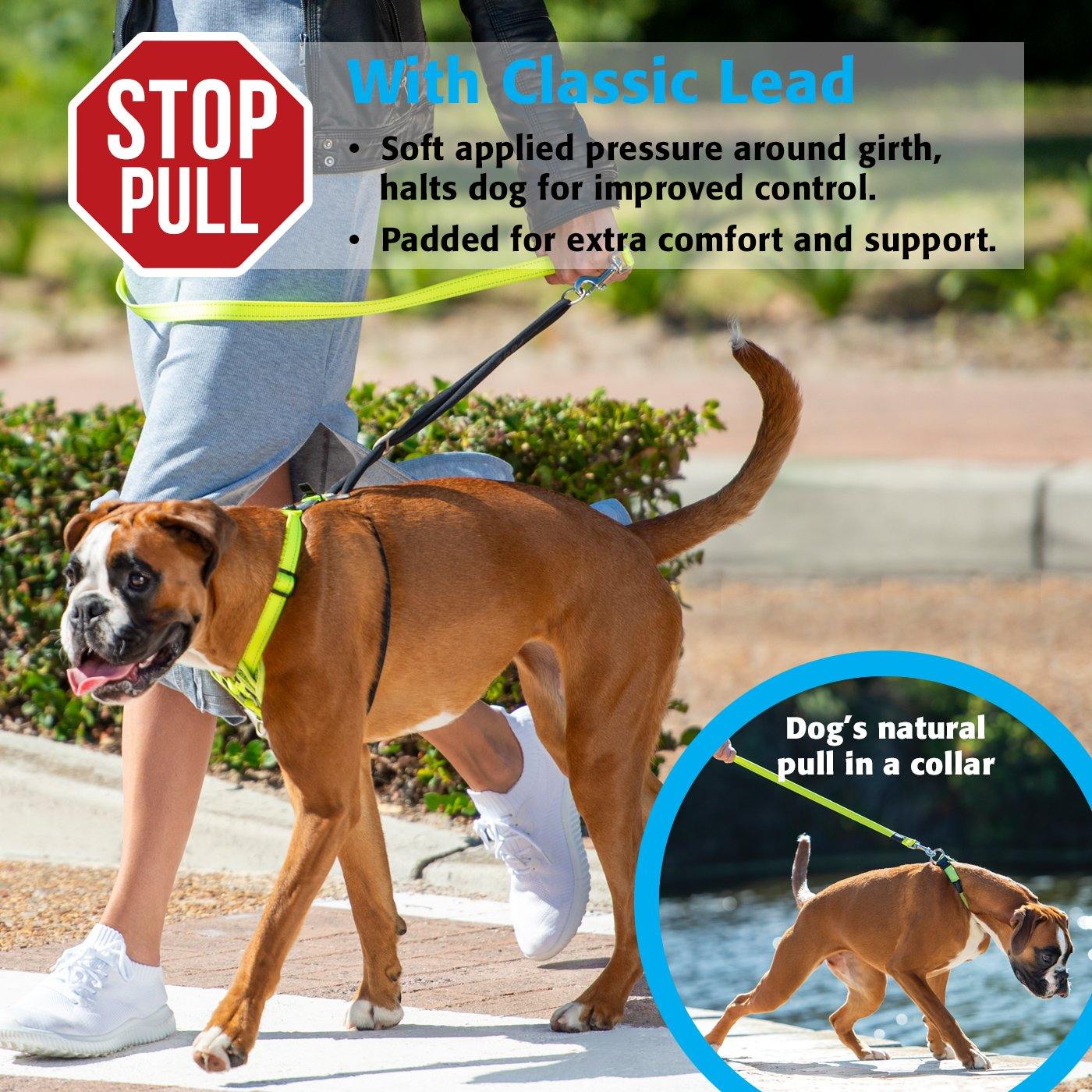 Rogz Classic Stop Pull Harness - PetX - Online