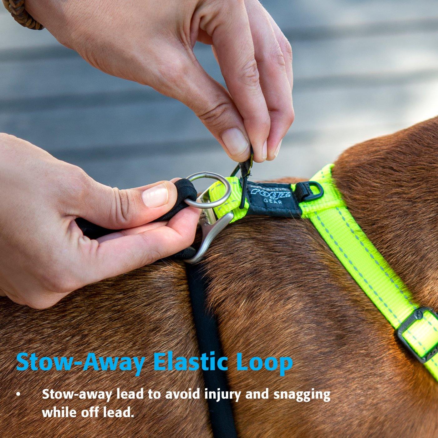 Rogz Classic Stop Pull Harness - PetX - Online