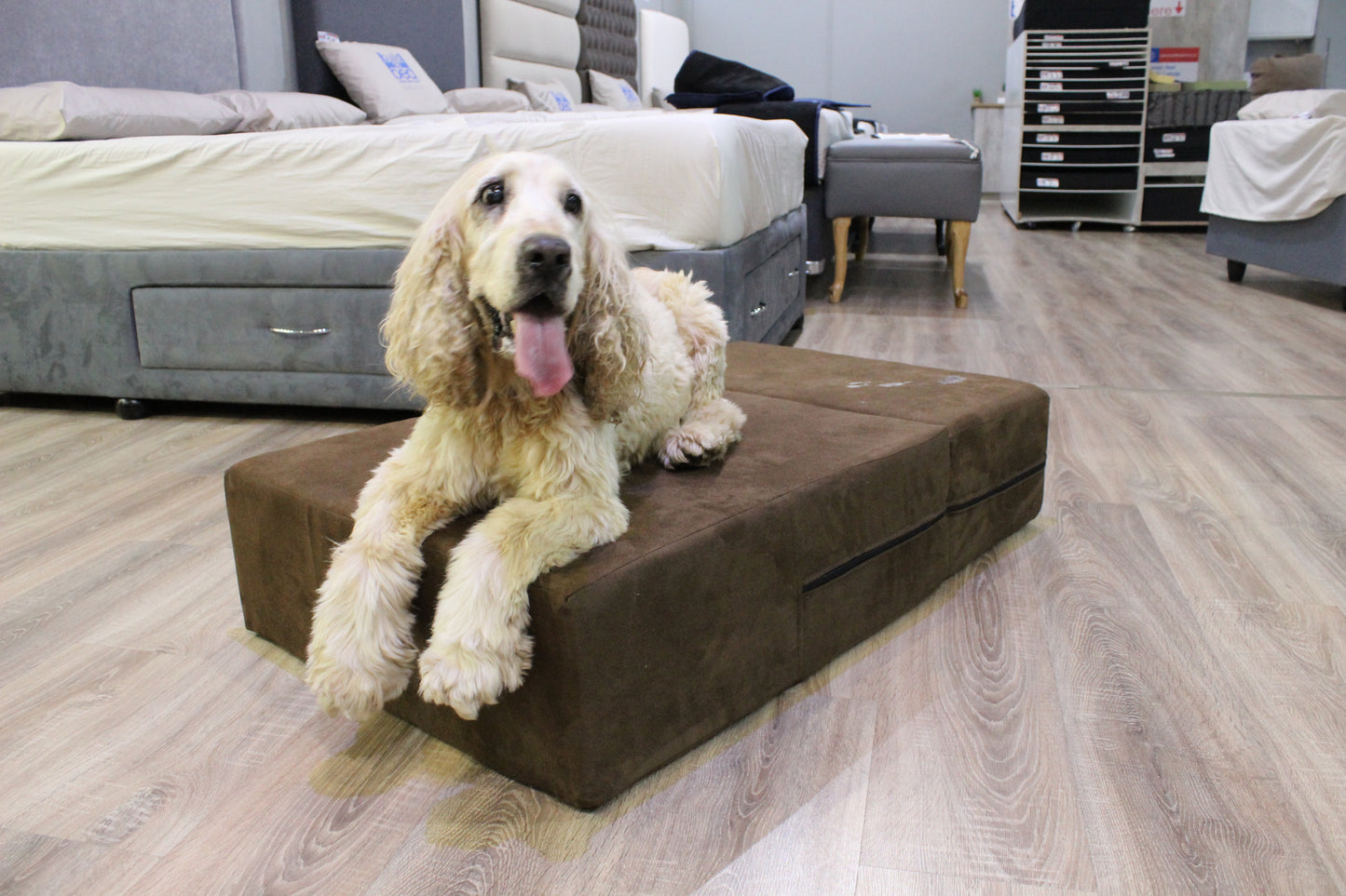 Dog-O-Pedic Sleeper Stairs (All -In-One Stairs & Mattress Combo)
