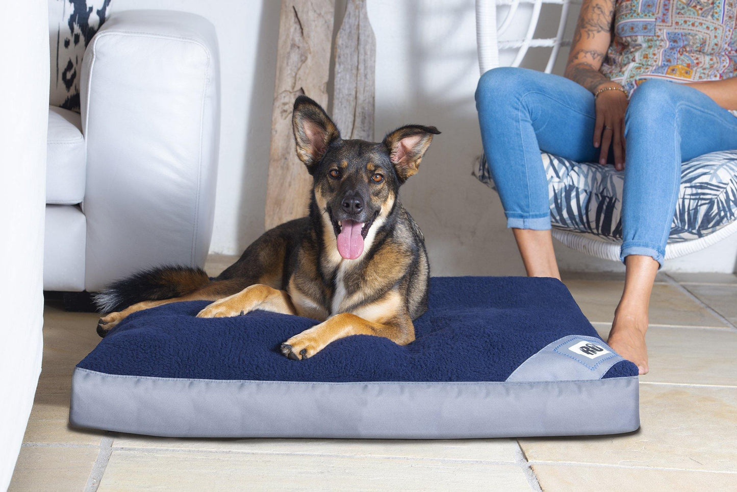 Rogz Lekka Flat Pod Dog Bed - PetX - Online