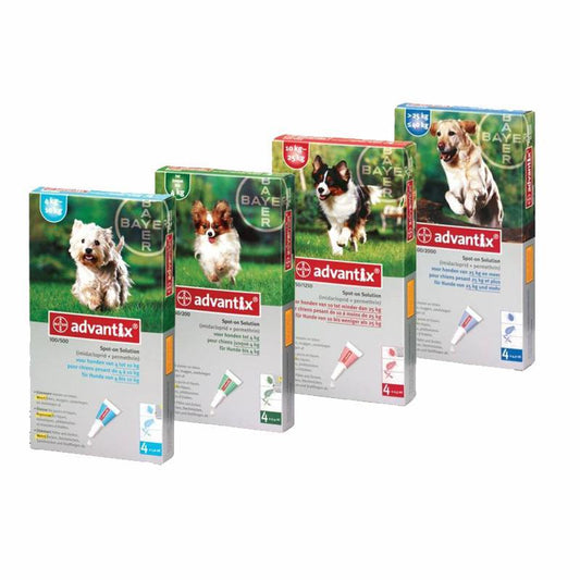 Advantix Tick, Flea, Fly & Mosquito Spot on Treatment for Dogs (1 pipet) - PetX - Online