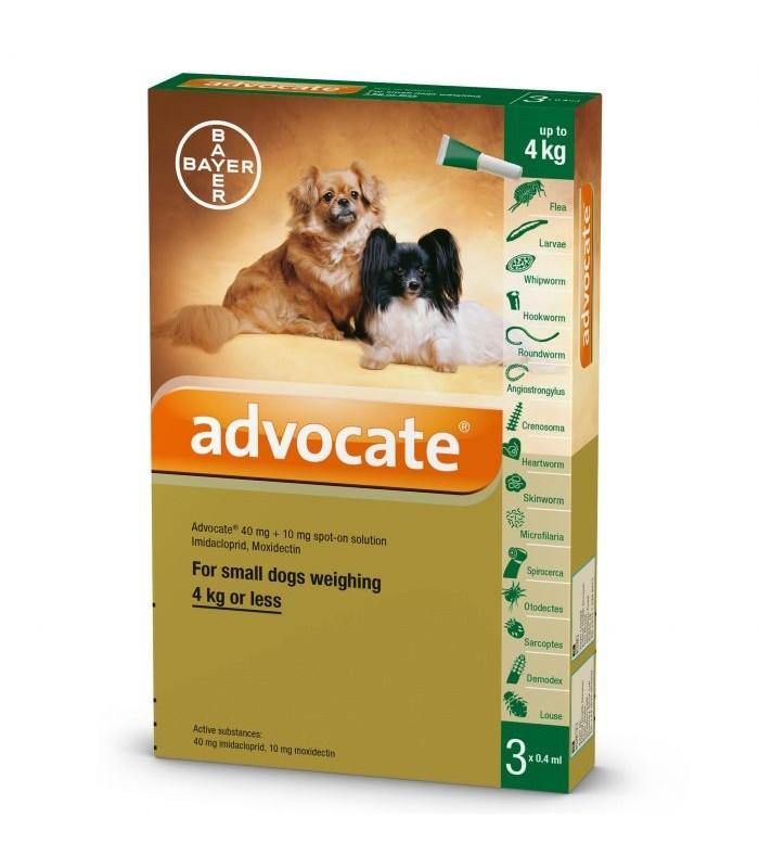 Advocate Mixed Parasite Spot On Treatment for Dogs ( 1 pipet ) - PetX - Online