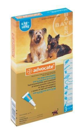 Advocate Mixed Parasite Spot On Treatment for Dogs ( 1 pipet ) - PetX - Online