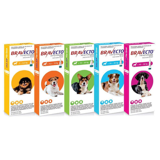 Bravecto Tick & Flea Spot on for Dogs - PetX - Online