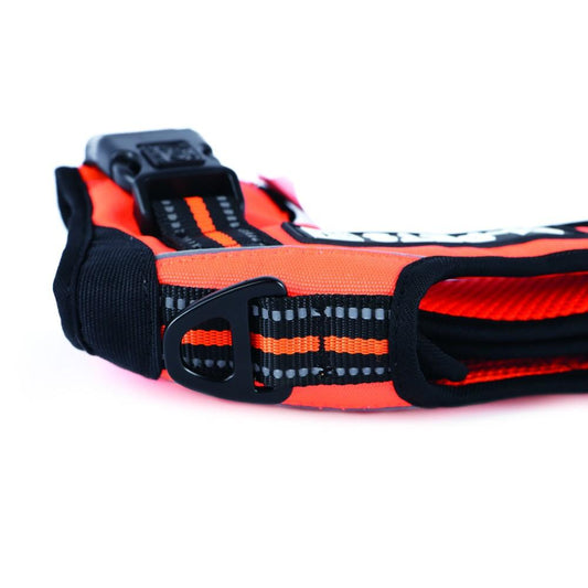 M-Pets Triangle Hiking Harness