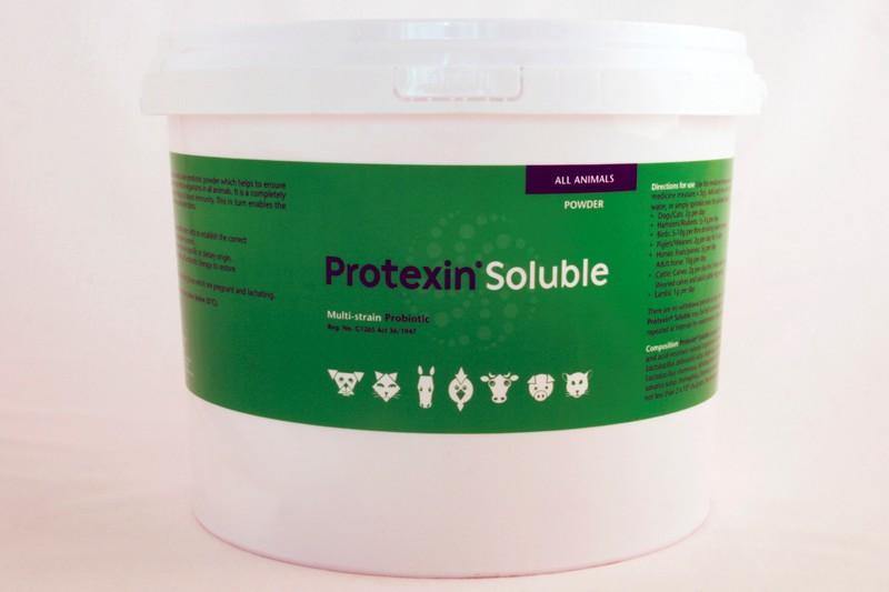 Protexin Soluble Probiotic Powder For Dogs & Cats - PetX - Online