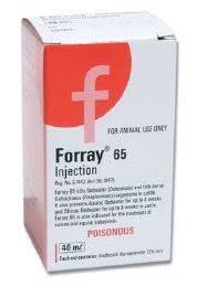 Forray 65 - PetX - Online