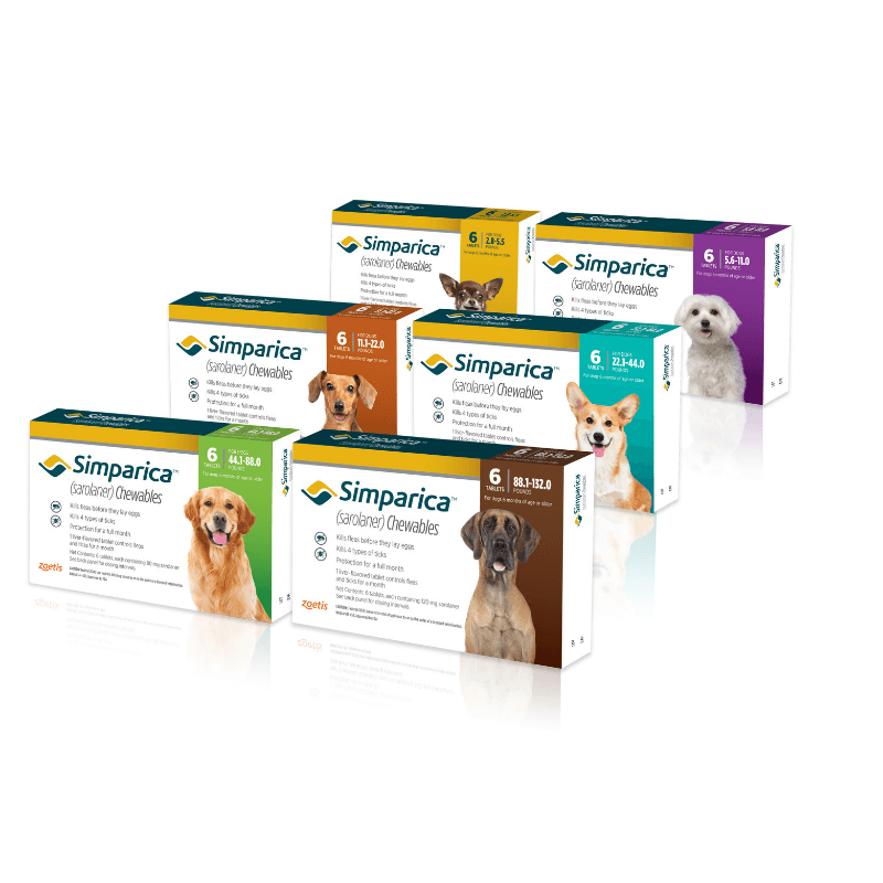 Simparica Chewable Tick & Flea Tablet for Dogs (3 Tabs) - PetX - Online