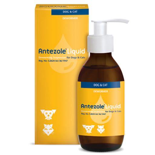 Antezole Deworming Liquid for Dogs and Cats - PetX - Online
